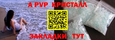 амф Гусев